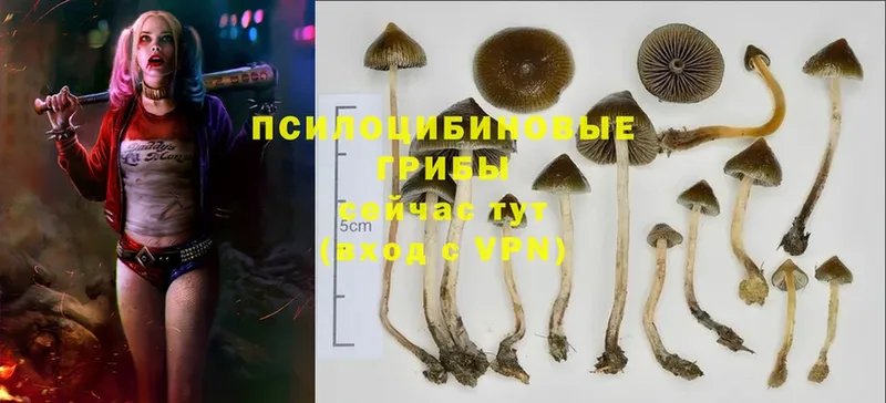 купить закладку  Бирск  blacksprut как войти  Галлюциногенные грибы MAGIC MUSHROOMS 